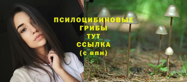 соль ск Алексин