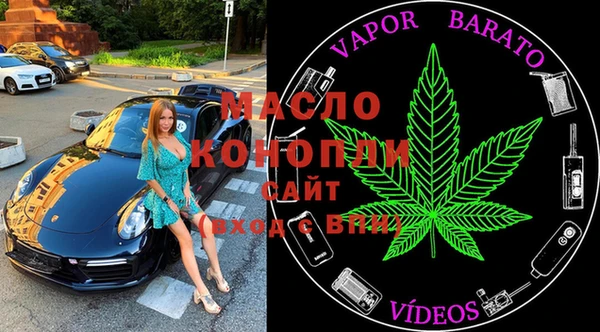 гашик Алексеевка