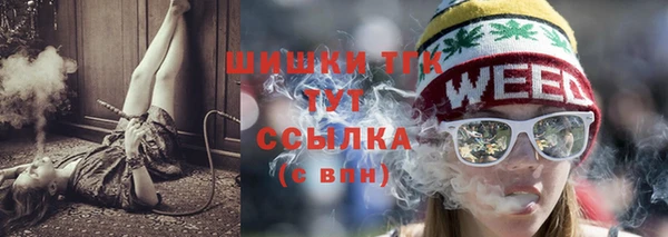 гашик Алексеевка